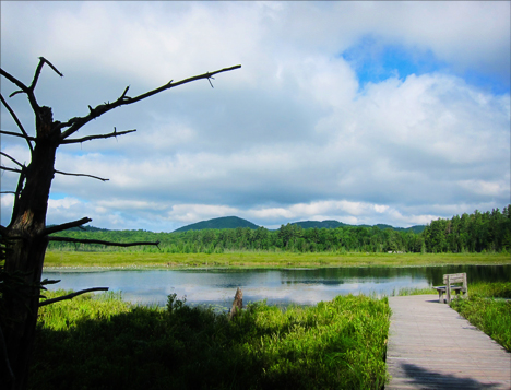 Adirondack Wetlands: Heron Marsh from the first overlook on the Heron Marsh Trail at the Paul Smiths VIC